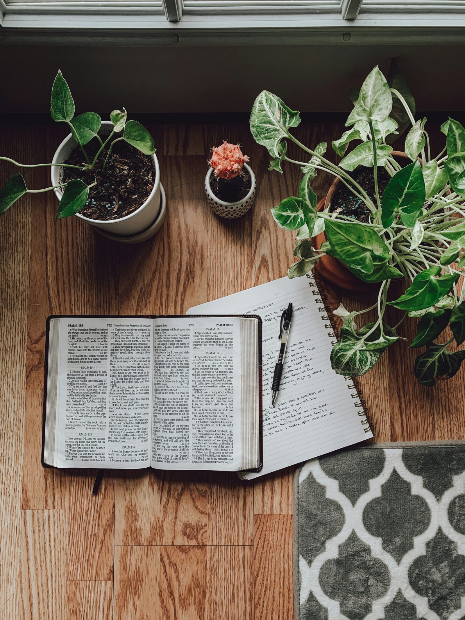 Esperanza suficiente en la Palabra de Dios